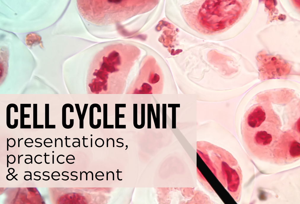 cell cycle unit