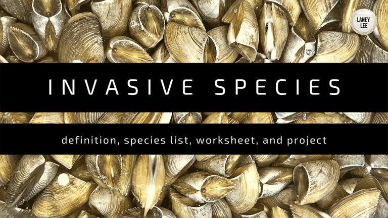Invasive Species List Worksheet And Project Laney Lee