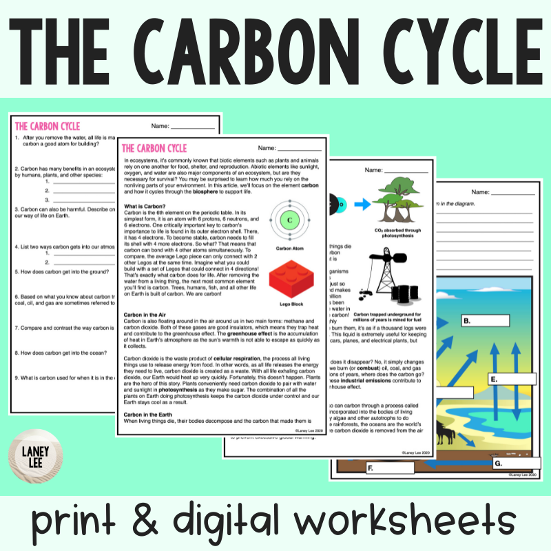 The carbon Cycle