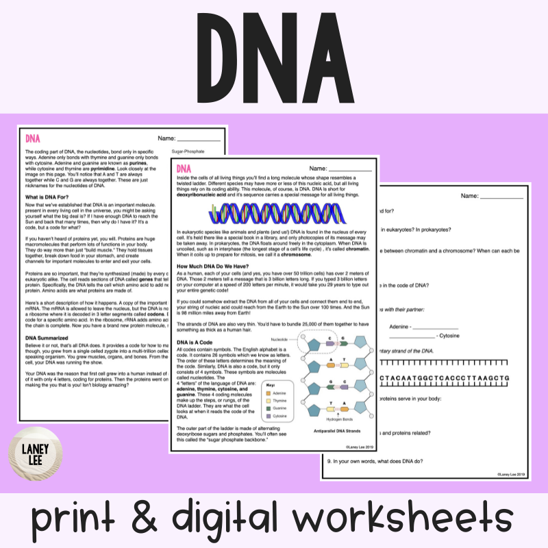 DNA Guided Reading