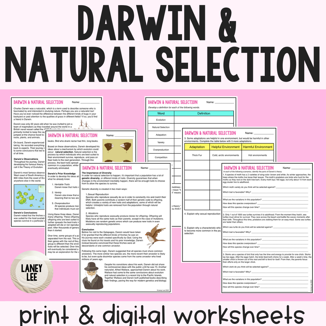 Darwin, Natural Selection, & Evolution - Guided Reading Worksheet Regarding Evolution And Natural Selection Worksheet