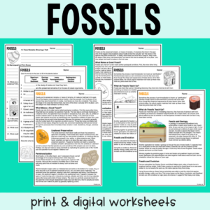 Fossils Guided Reading
