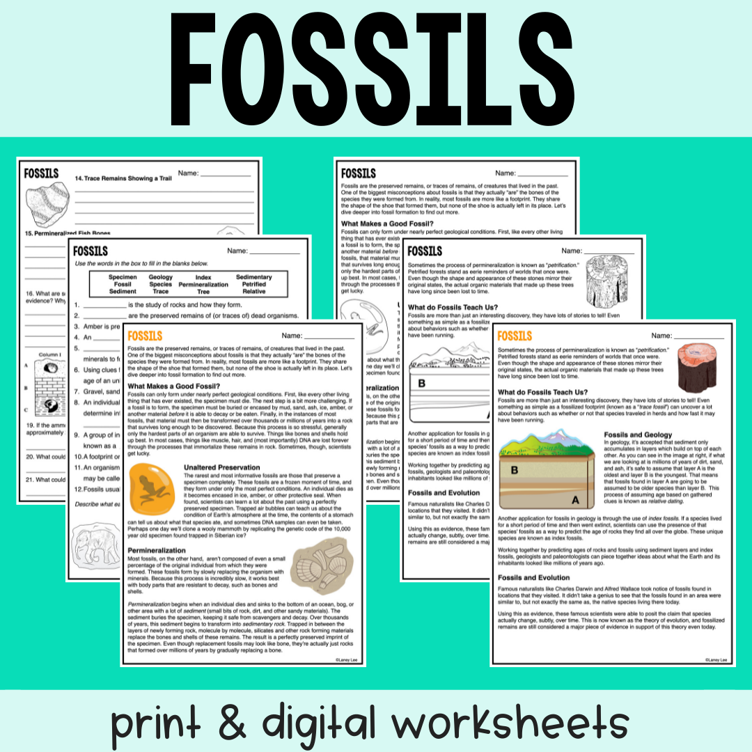 Fossils Guided Reading Worksheet PDF Digital Laney Lee