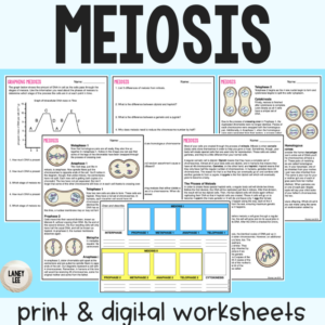 Meiosis Guided Reading