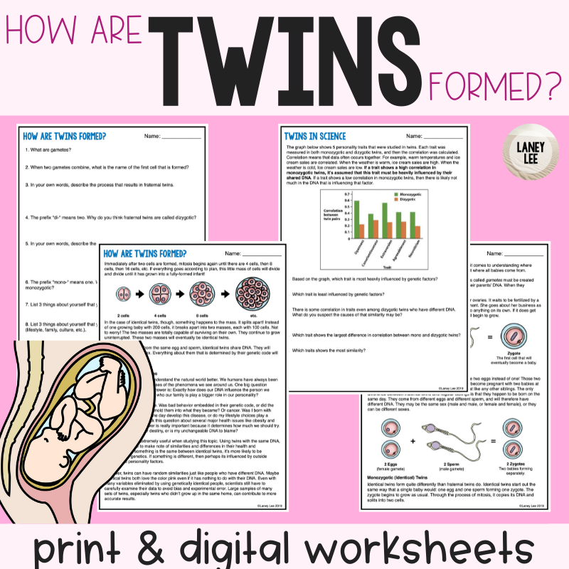 Twins Guided Reading