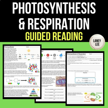 Photosynthesis & Respiration - Reading & Questions Worksheet - PDF & Digital
