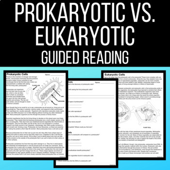 Prokaryotic vs. Eukaryotic Guided Reading Worksheets - PDF & Digital