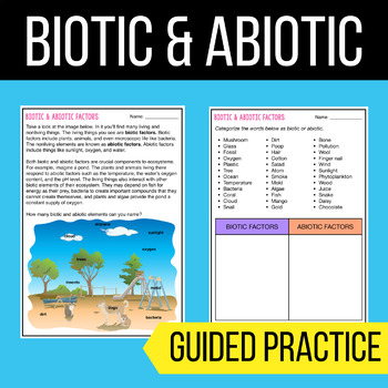 Biotic & Abiotic - Practice Worksheet - PDF & Digital