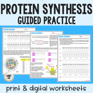 protein synthesis worksheet