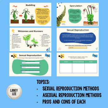 sexual and asexual reproduction google slides presentation