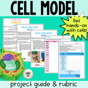 Cell Model Rubric