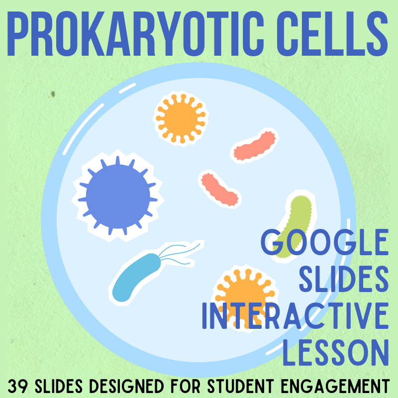 Prokaryotic Cells / Bacteria - Google Slides Interactive Presentation