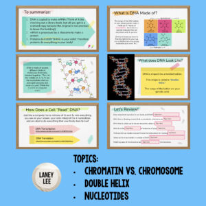 intro to DNA lesson presentation google slides