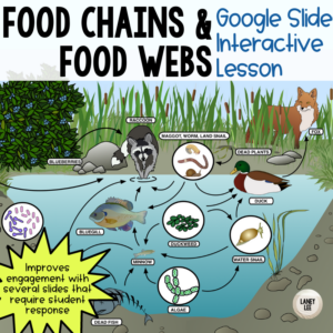 Food Chains and Food Webs