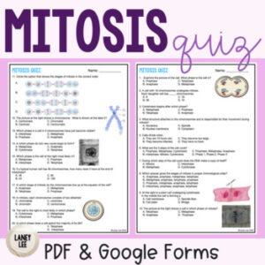 Mitosis Cell cycle Quiz