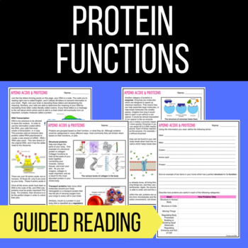 protein functions