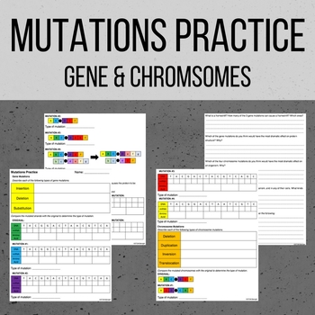 Dna Mutations Practice Worksheet With Answer Key Laney Lee