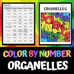 color by number organelles