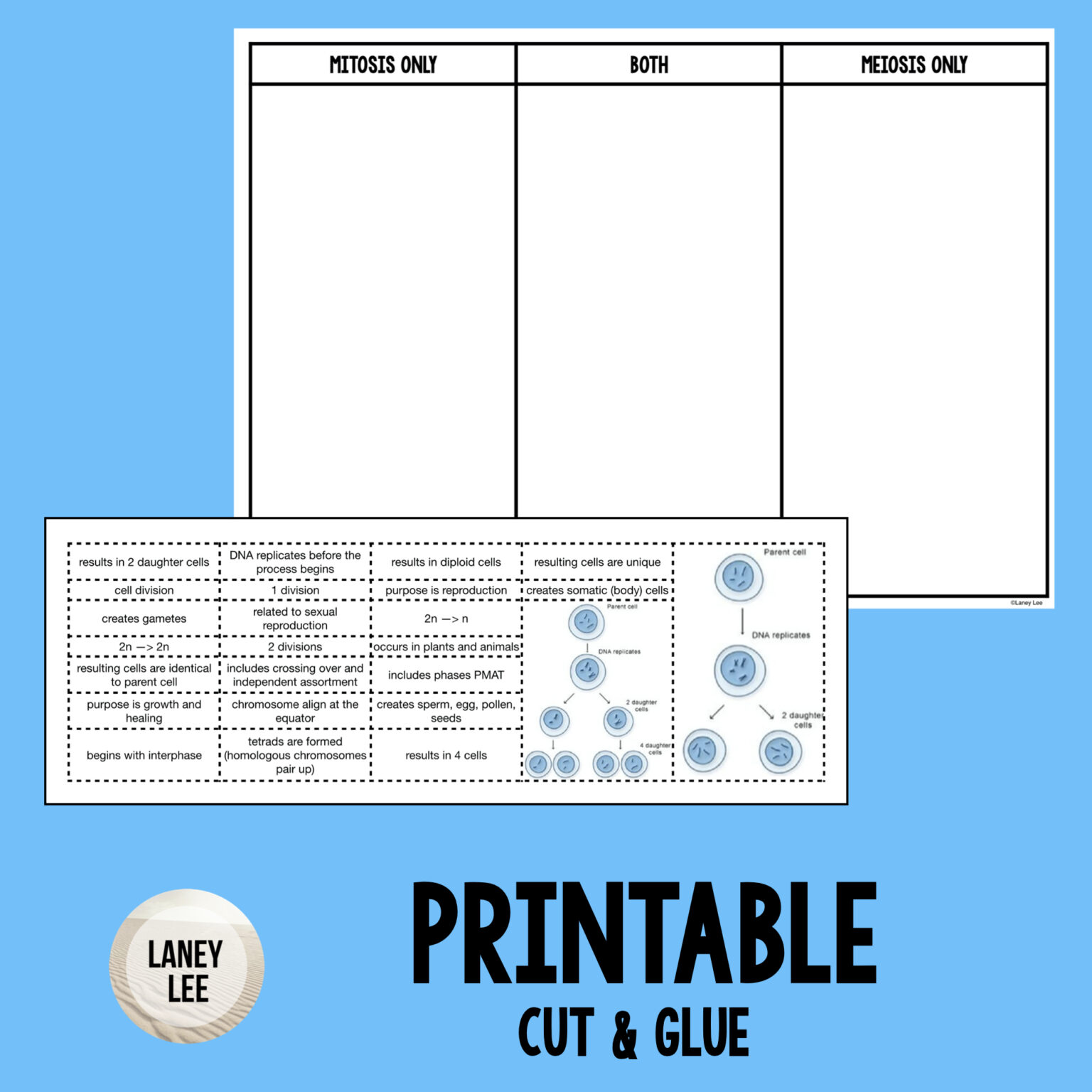 Comparing Mitosis Meiosis Print Digital Sorting Activity Laney Lee comparing-mitosis-meiosis-print-digital-sorting-activity-laney-lee