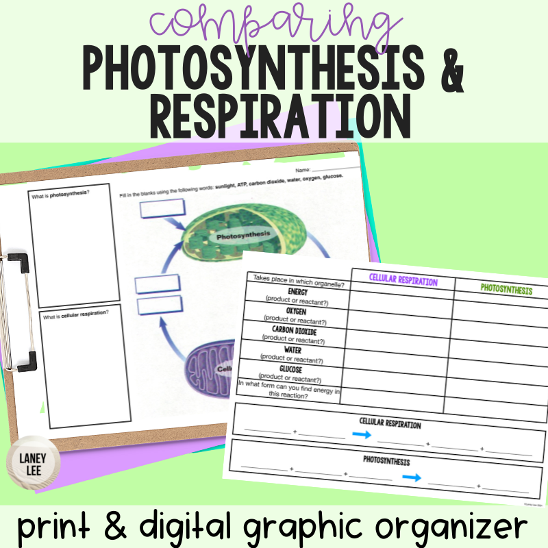 Comparing Photosynthesis and Respiration graphic organizer