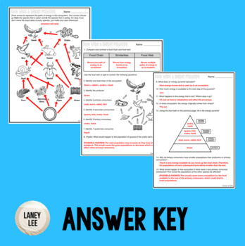 food chains and food webs energy pyramid worksheet answers