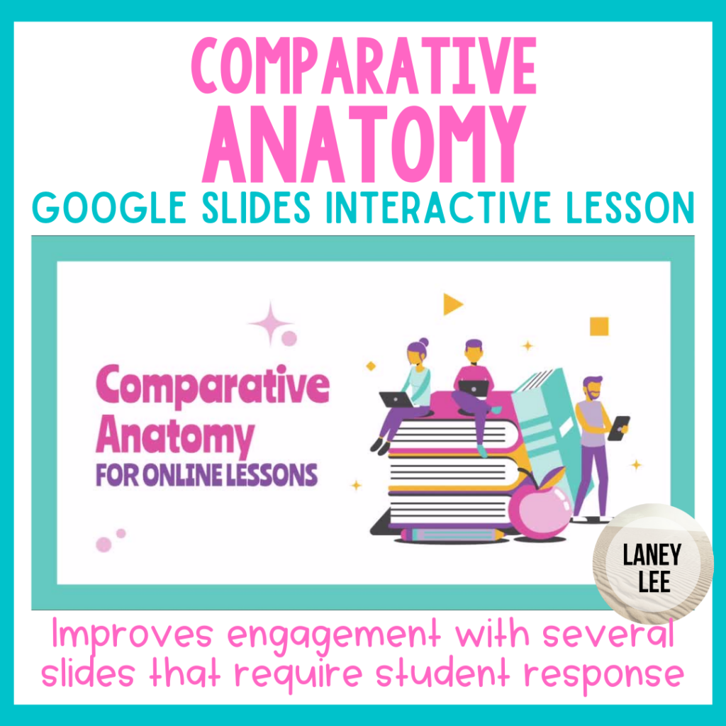 Comparative Anatomy Interactive Slides