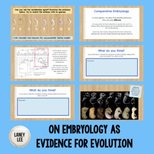 comparative embryology lesson google slides