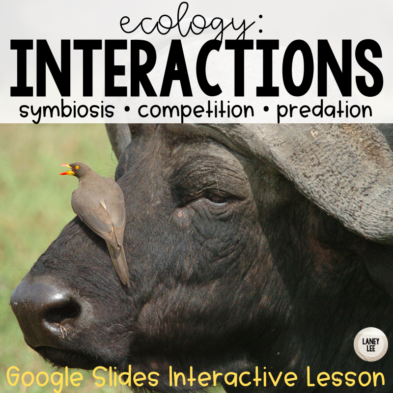 Ecology Interactions