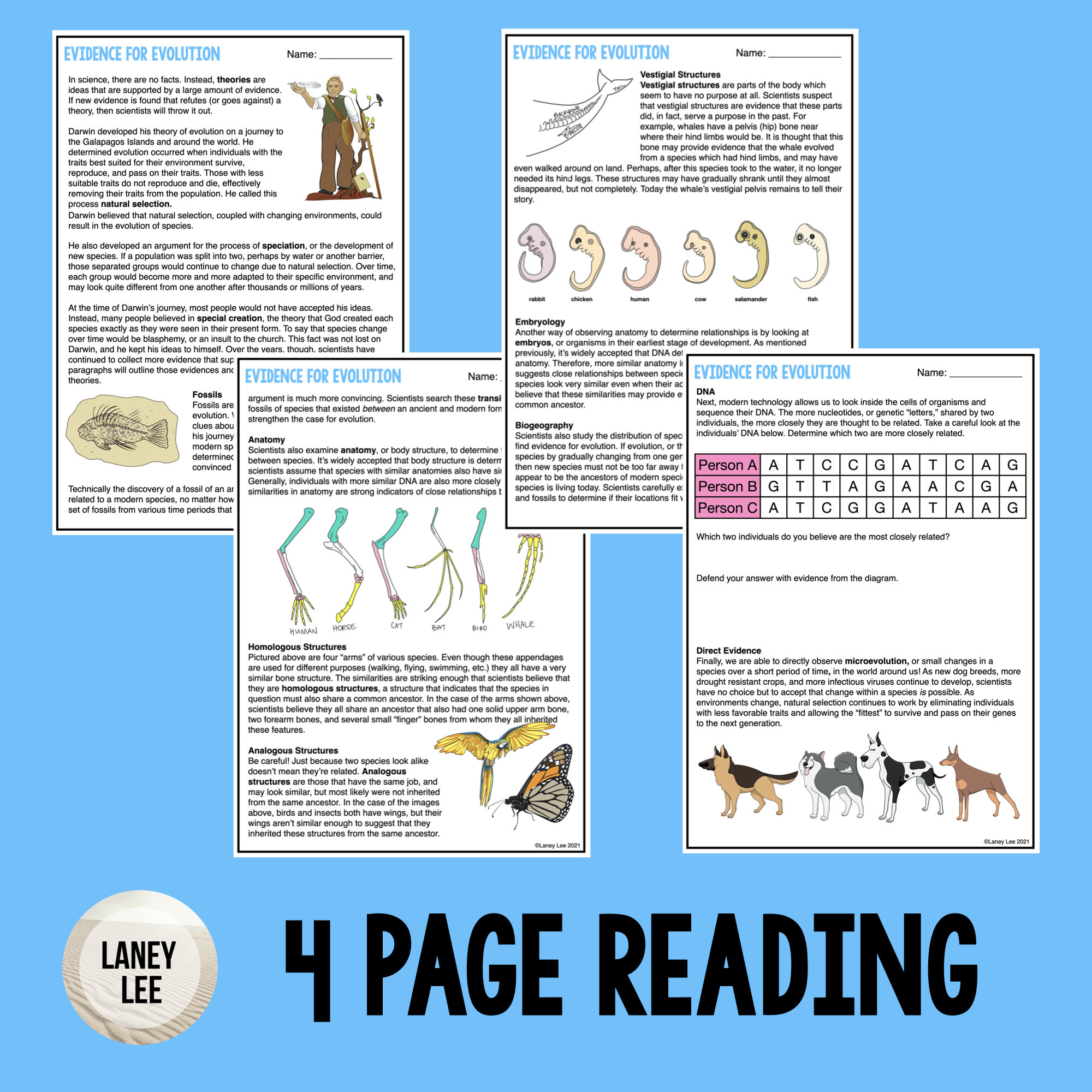 Evidence for Evolution - Reading & Worksheets - PDF & Digital Versions For Evidence Of Evolution Worksheet