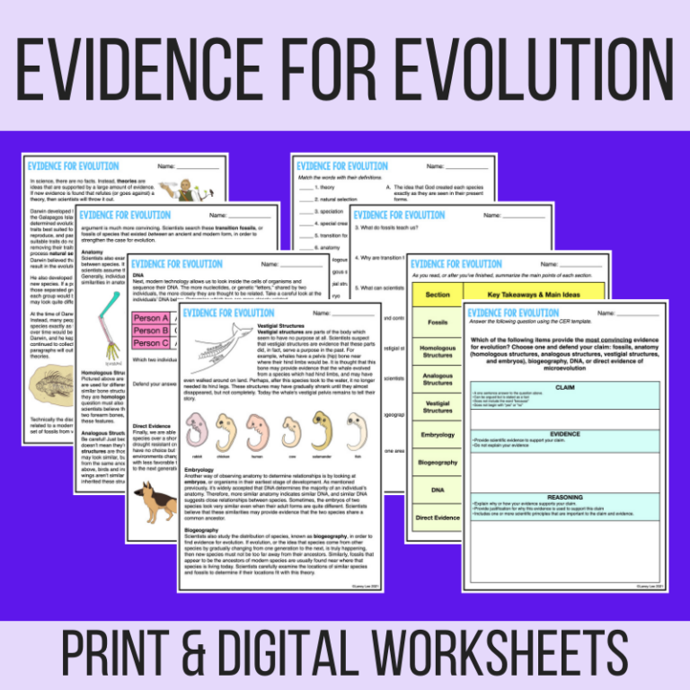 Evolution review worksheet pdf picture