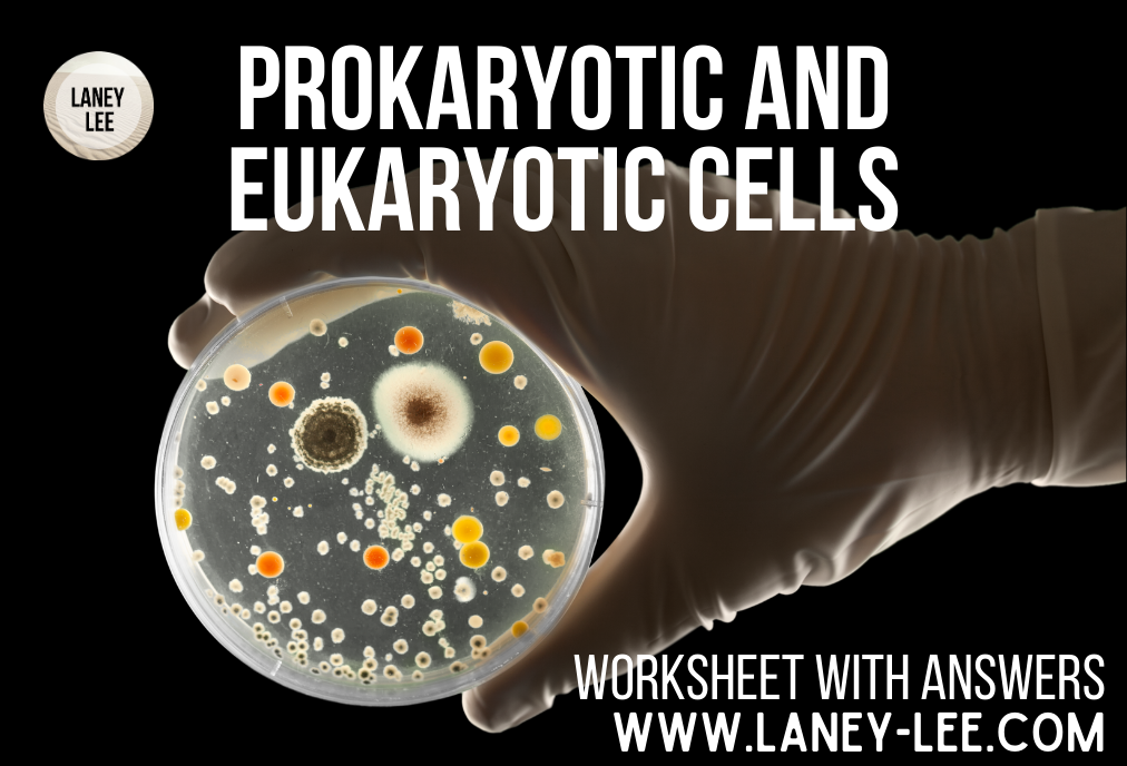 Prokaryotic and Eukaryotic Cells Worksheet with Answer Key - Laney Lee