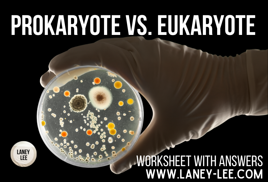 prokaryote vs. eukaryote worksheet