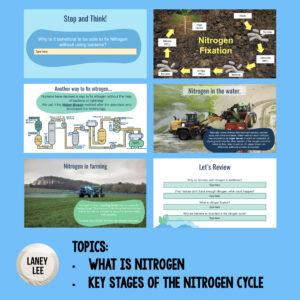 nitrogen cycle google slides presentation