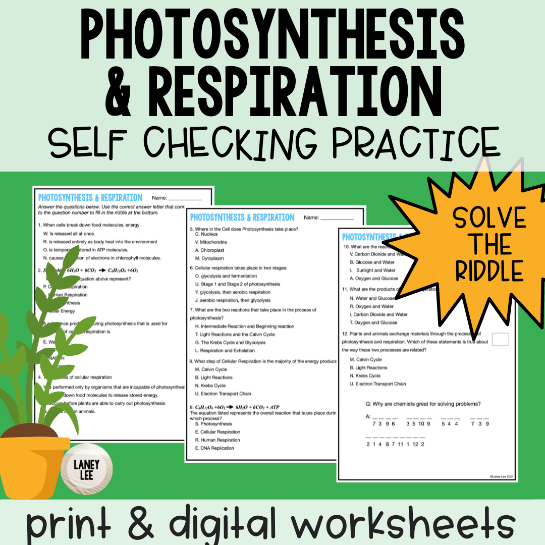 Photosynthesis Respiration Self Checking Practice Worksheet