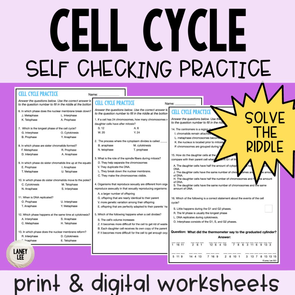 cell cycle practice worksheet answer key pdf