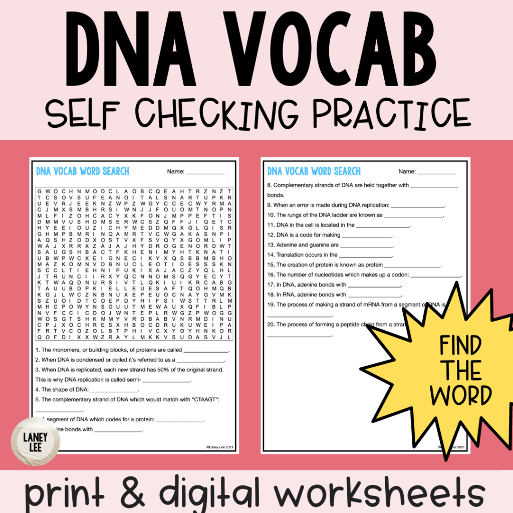 dna vocabulary review worksheet pdf answer key