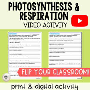 photosynthesis respiration worksheet pdf answer key