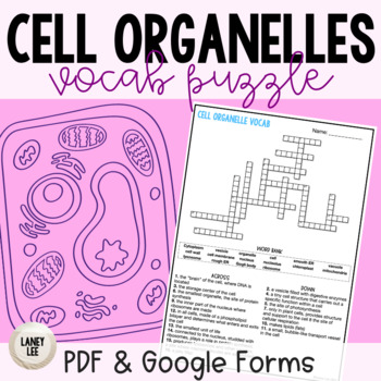 Organelles Vocabulary Puzzle