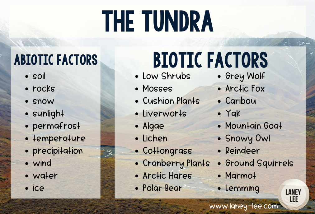 tundra Biotic and Abiotic Factors