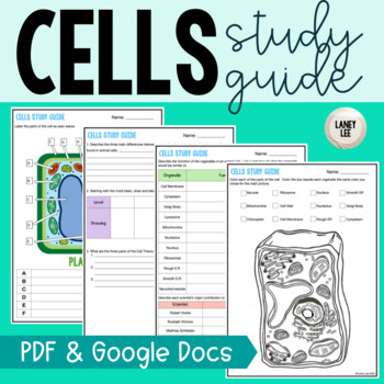 Cells Study Guide
