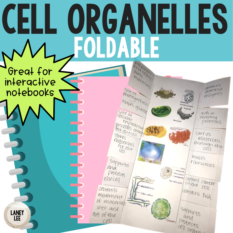 Cell Organelle Foldable