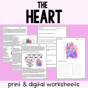 The Heart Guided Reading