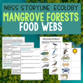 Mangrove Forests Food Webs