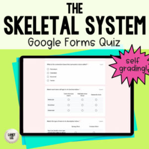 The skeletal system quiz