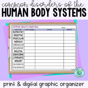 Human body systems disorders and illnesses graphic organizer