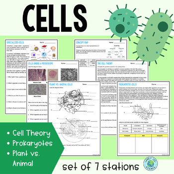 Cells Stations