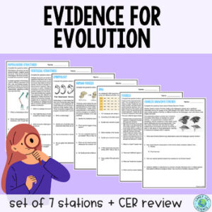 Evidence for Evolution Stations