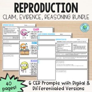Reproduction CER Prompts
