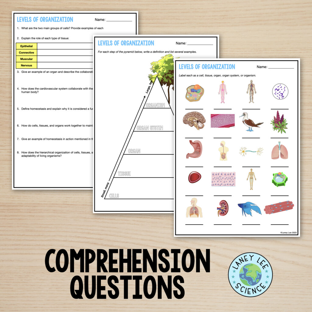 Biological Levels of Organization Reading Comprehension Worksheets