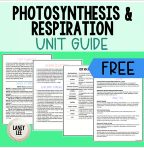Photosynthesis and respiration unit guide